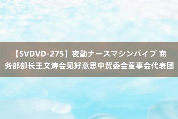 【SVDVD-275】夜勤ナースマシンバイブ 商务部部长王文涛会见好意思中贸委会董事会代表团