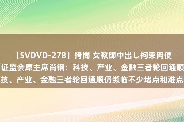 【SVDVD-278】拷問 女教師中出し拘束肉便器 仁科百華 RISA 中国证监会原主席肖钢：科技、产业、金融三者轮回通顺仍濒临不少堵点和难点