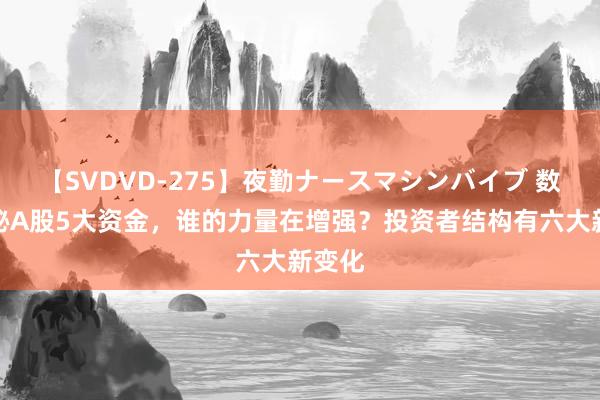 【SVDVD-275】夜勤ナースマシンバイブ 数据揭秘A股5大资金，谁的力量在增强？投资者结构有六大新变化