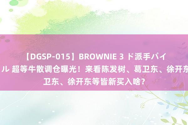 【DGSP-015】BROWNIE 3 ド派手パイパン強め黒ギャル 超等牛散调仓曝光！来看陈发树、葛卫东、徐开东等皆新买入啥？